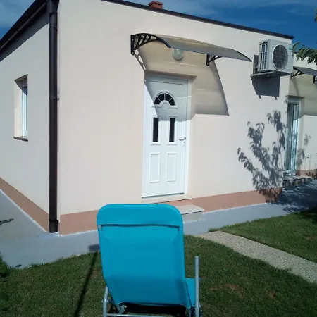 Oliva
